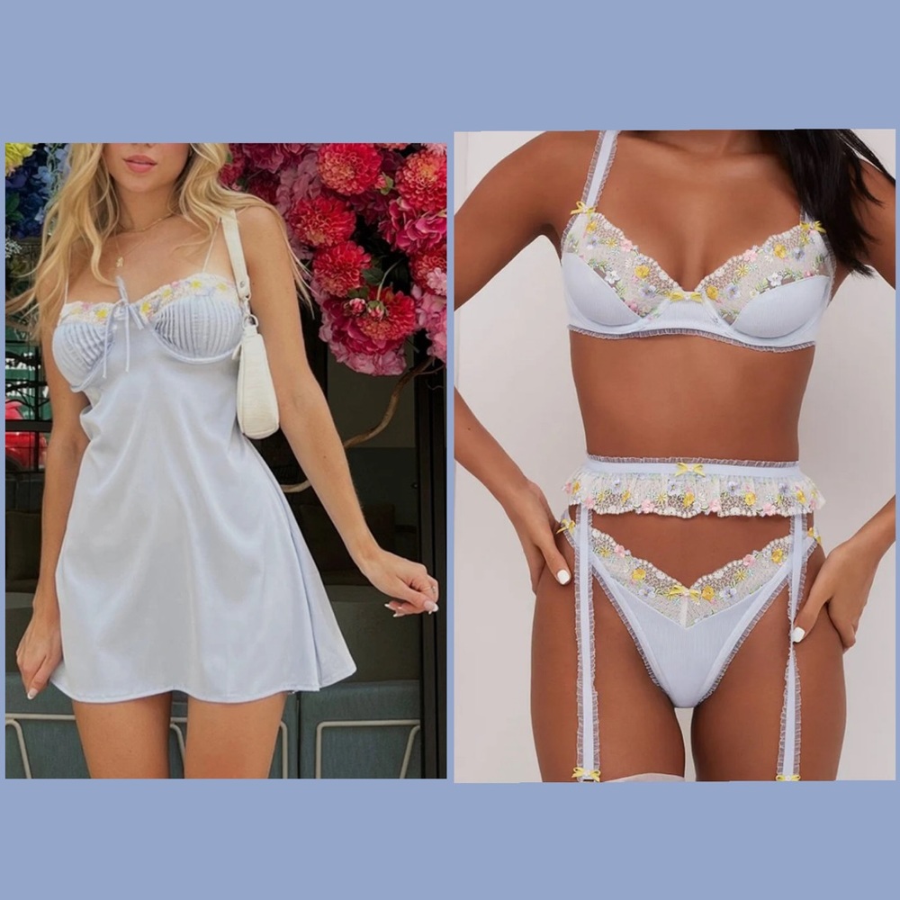 NWT Paloma Dress, Bra, Garter, and Panty Set (SMALL)